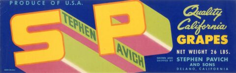 Stephen Pavich